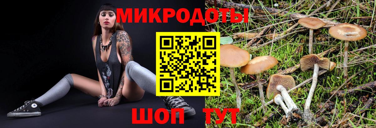Галлюциногенные грибы мухоморы  Вход с VPN  Сосновоборск 