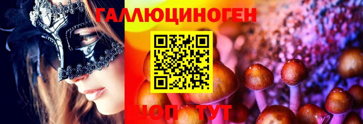Псилоцибиновые грибы прущие грибы Сосновоборск